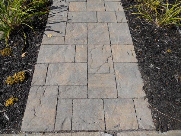 Stamped Concrete Staining in Vacaville